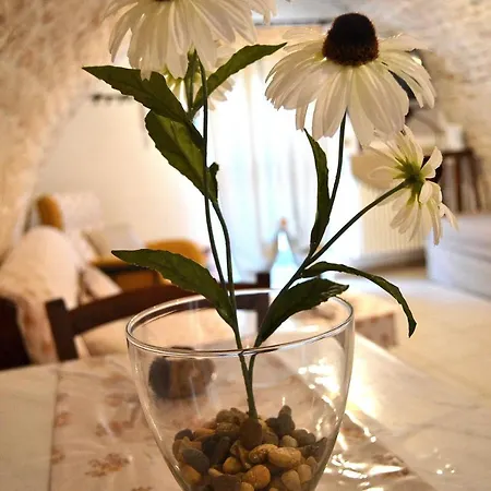 Converse Fra I Trulli Alberobello